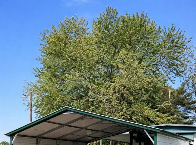 Metal carport in Owasso, OK, featuring a spacious design and green trim, set against a clear blue sky.