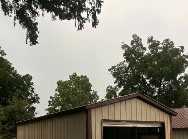 Lady’s Slipper Onamia MN MINI SHED